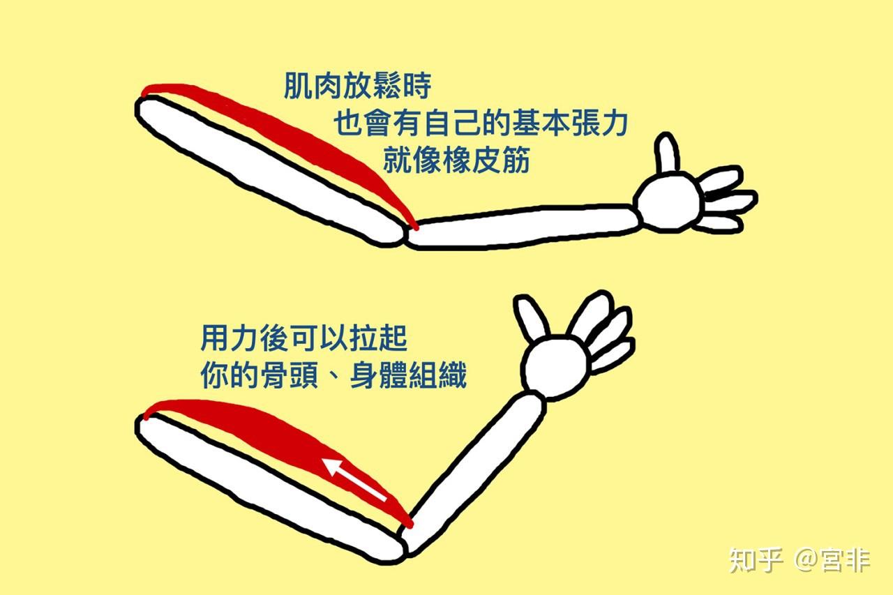 怎么理解绳的张力? - 知乎