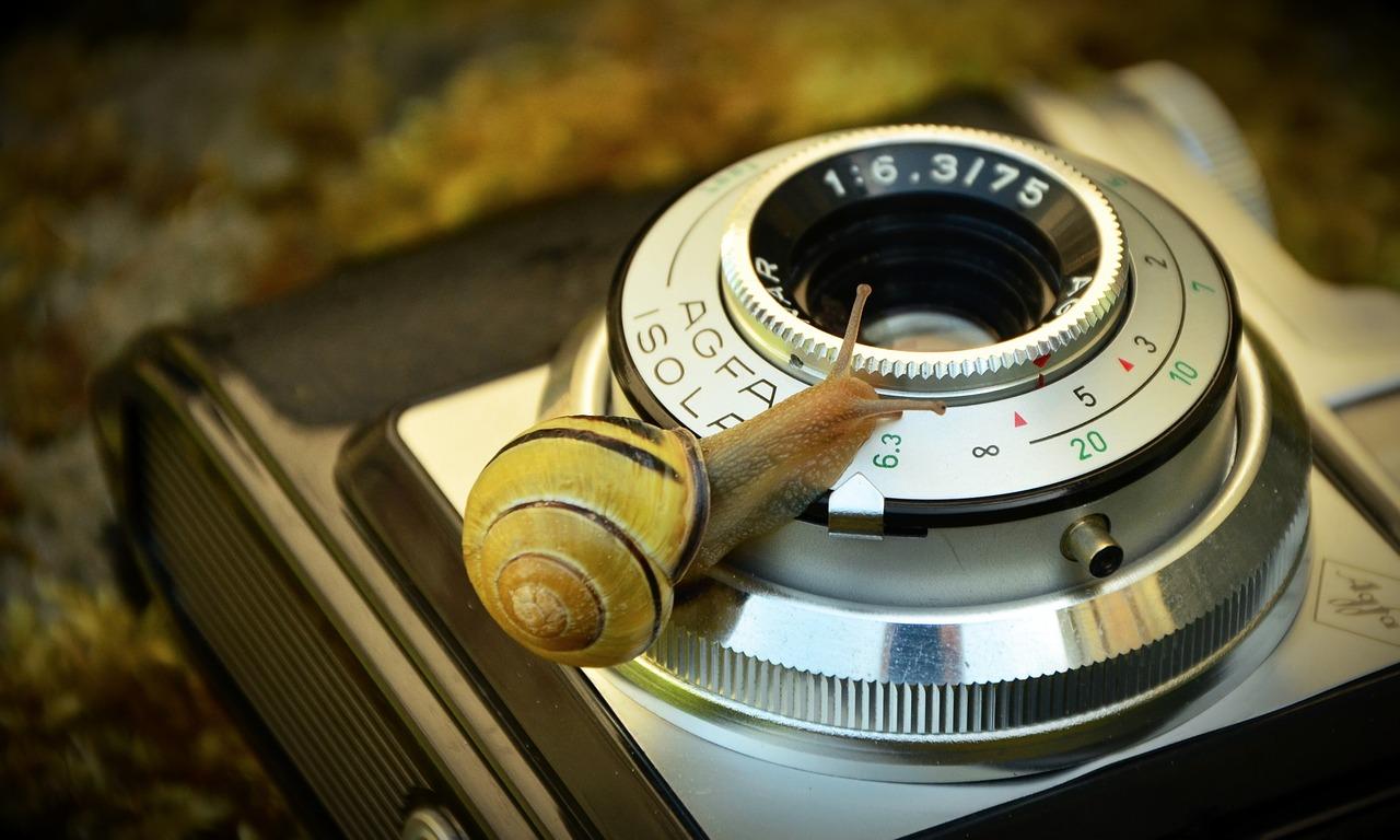 2. 售价明细揭晓