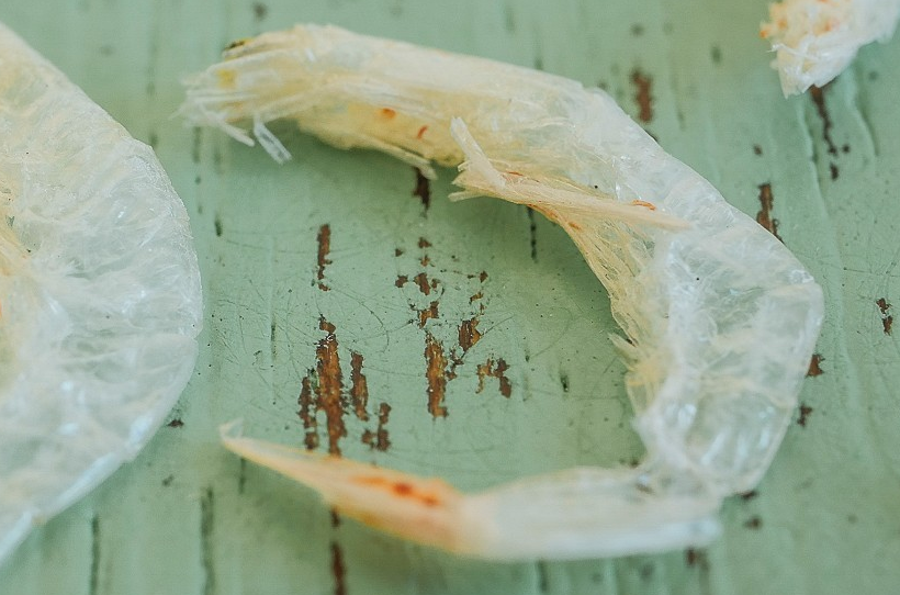 动物篇(15)·节肢动物门·甲壳亚门(中)