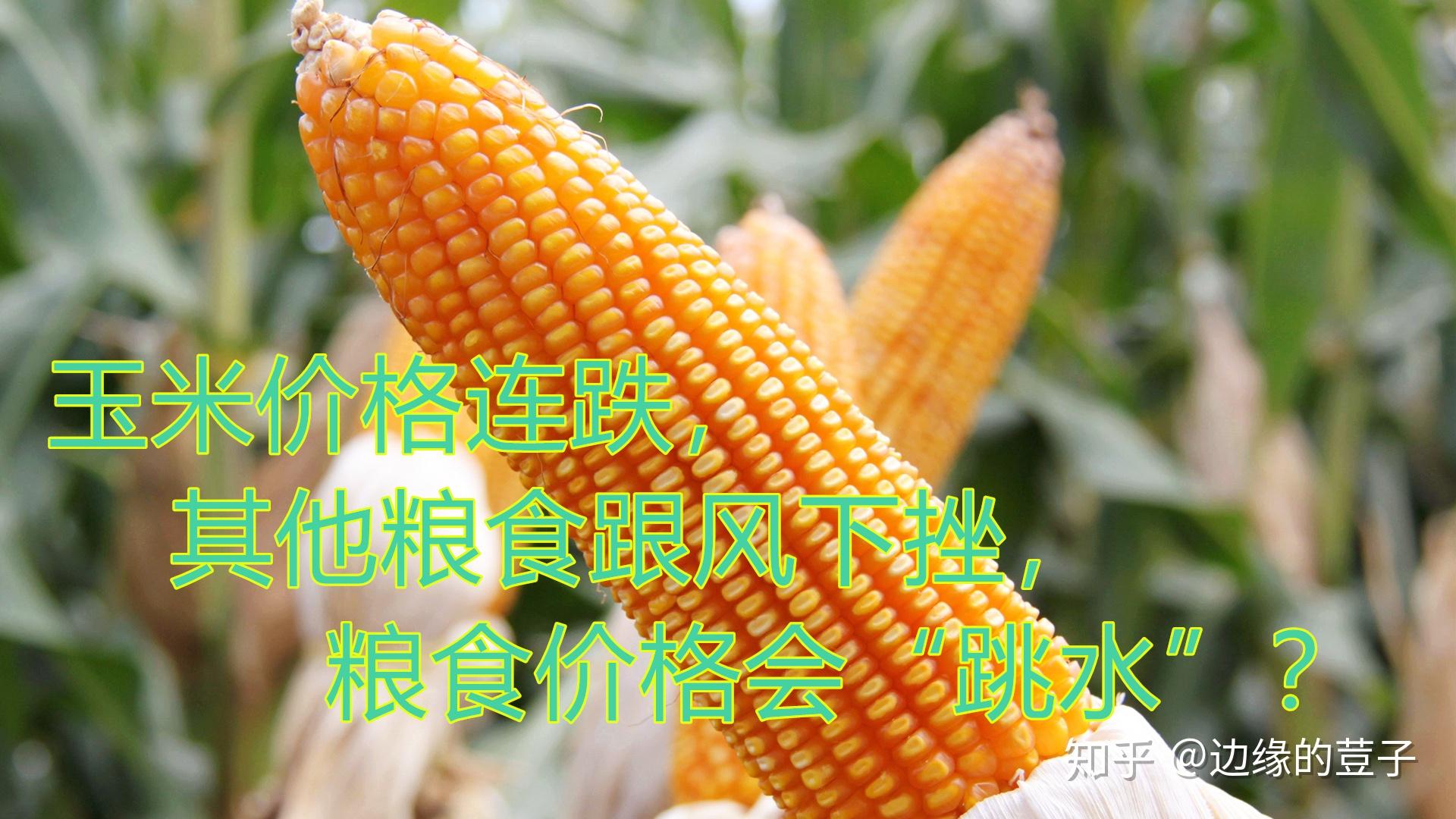 v2-a068adc8d1135a5b6f6c8d0cd718fe04_r.jpg