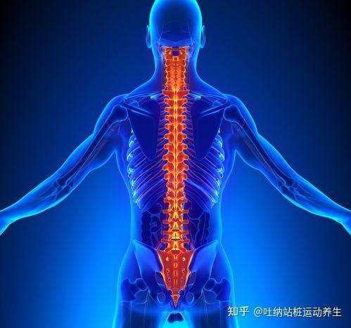 炼精化气的方法,如何修炼丹田之气? - 知乎