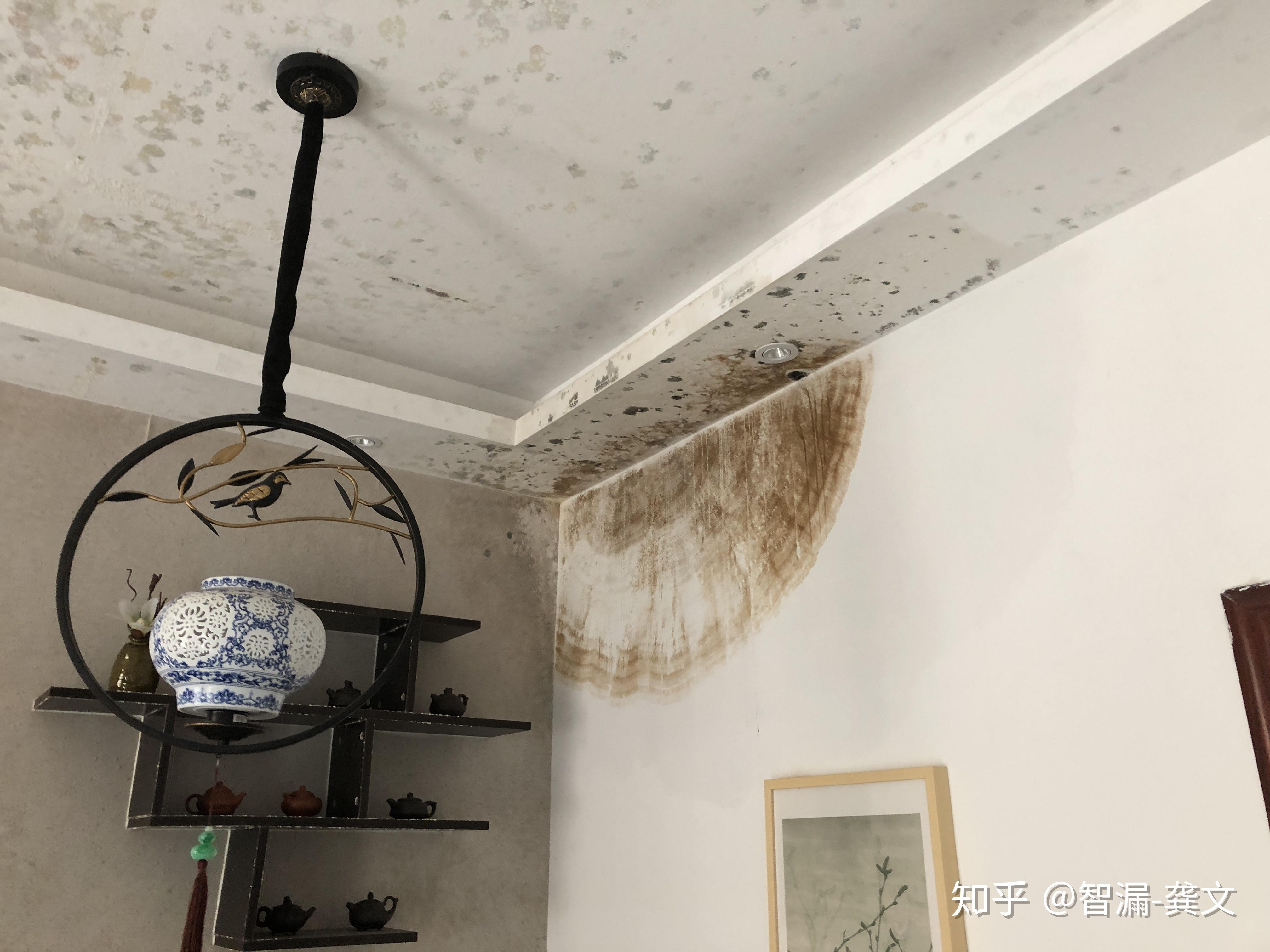 请问这样的天花板发霉是因为楼上渗水还是房子太潮了呢? - 知乎