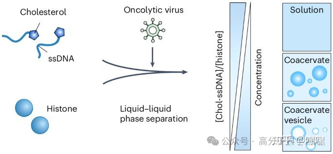浙江大学顾臻团队，最新Nature Chemistry！ - 知乎