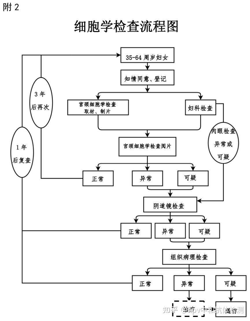 筛查流程:35