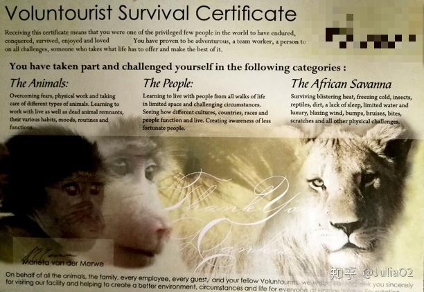 正规的国际志愿者证书是什么样?