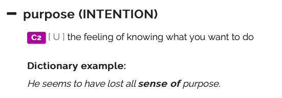 词汇密码purpose只有目的的意思吗
