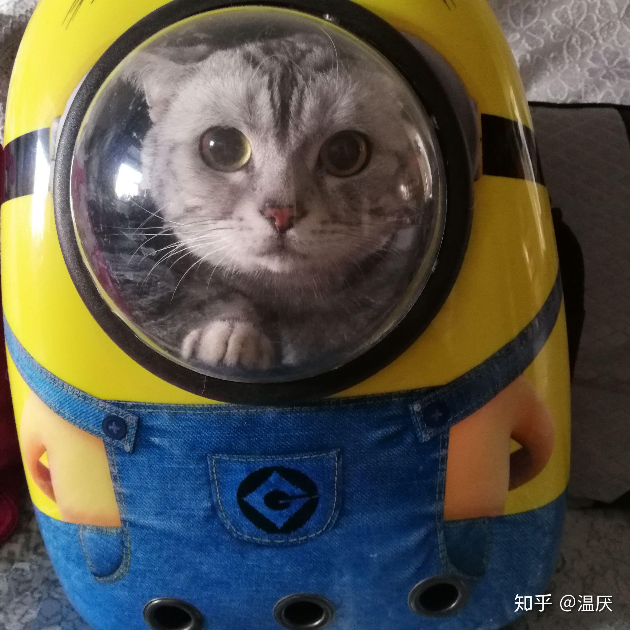 v2-a0980a94555bf208d59f8bac165b351c_r.jpg