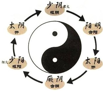 六经辨证传变顺序与传变类型 - 知乎