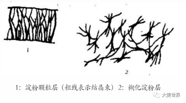 大麦加热过程中的化学反应 - 知乎