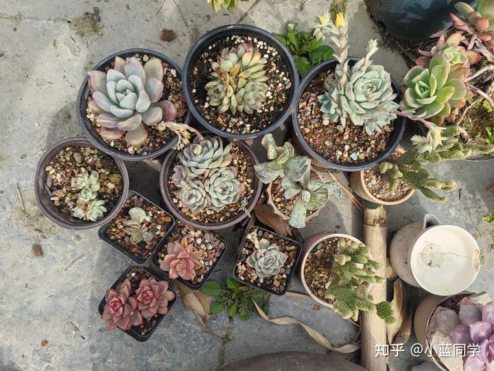 人，可以废物到什么程度？
