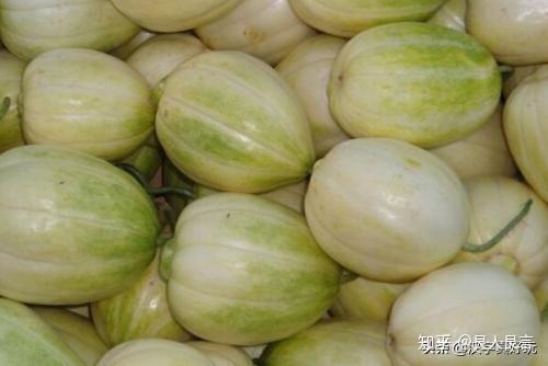 我们常吃的瓜,古人是这样命名和区分的 - 知乎