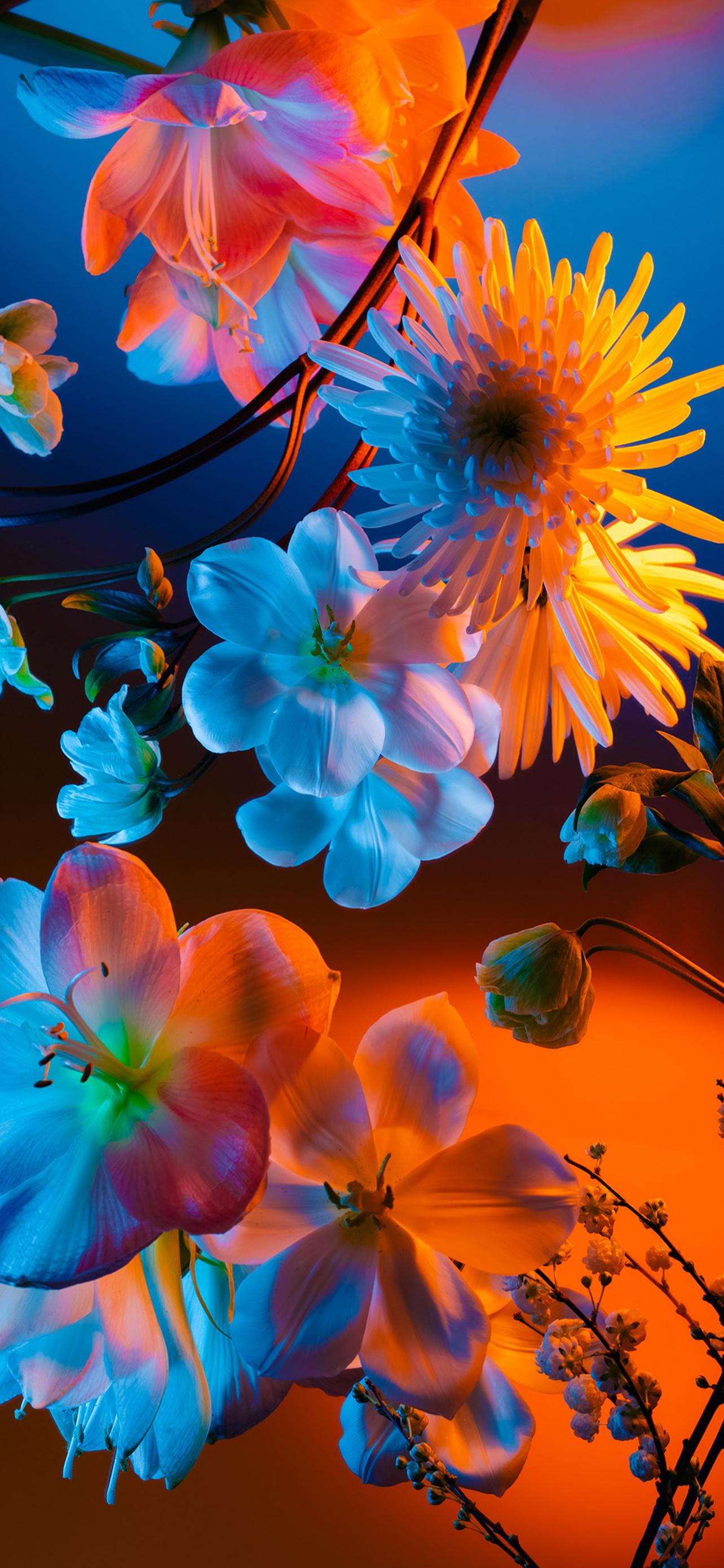 1284_2778竖版 竖屏