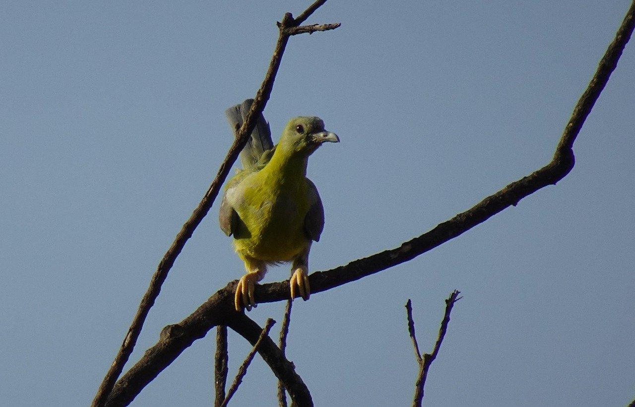 4. 交通便捷出行