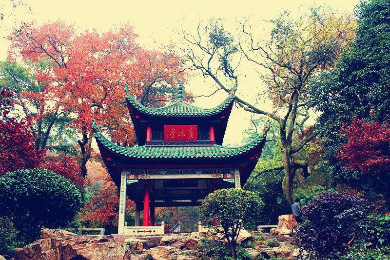 如何看待2018年河南高考出现的答题卡掉包事