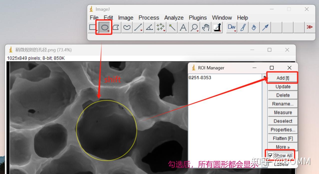 Imagej 