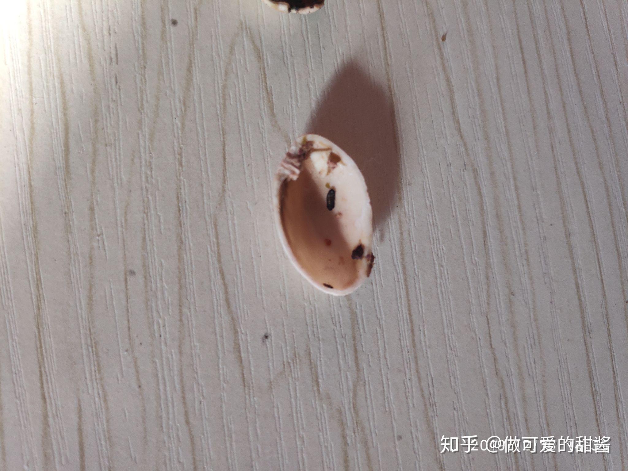 在永辉超市买到的开心果是受潮发霉的而且购买页面的图片显示美国加州