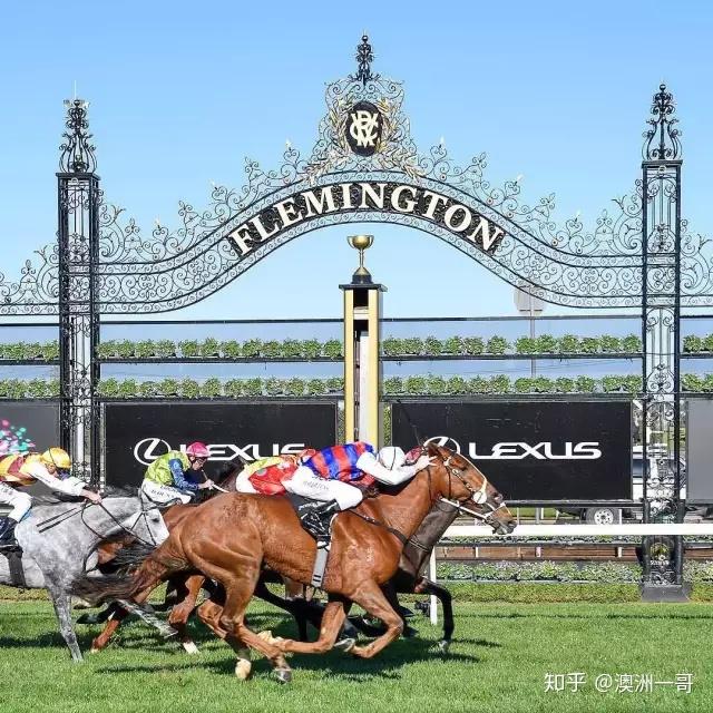 的有超过479个赛马场,而墨尔本杯之家——弗莱明顿赛马场 (flemington
