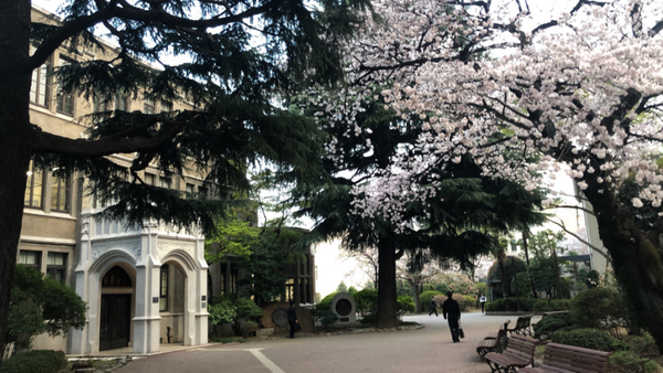 日本大学院直考 Mba之青山学院大学 知乎