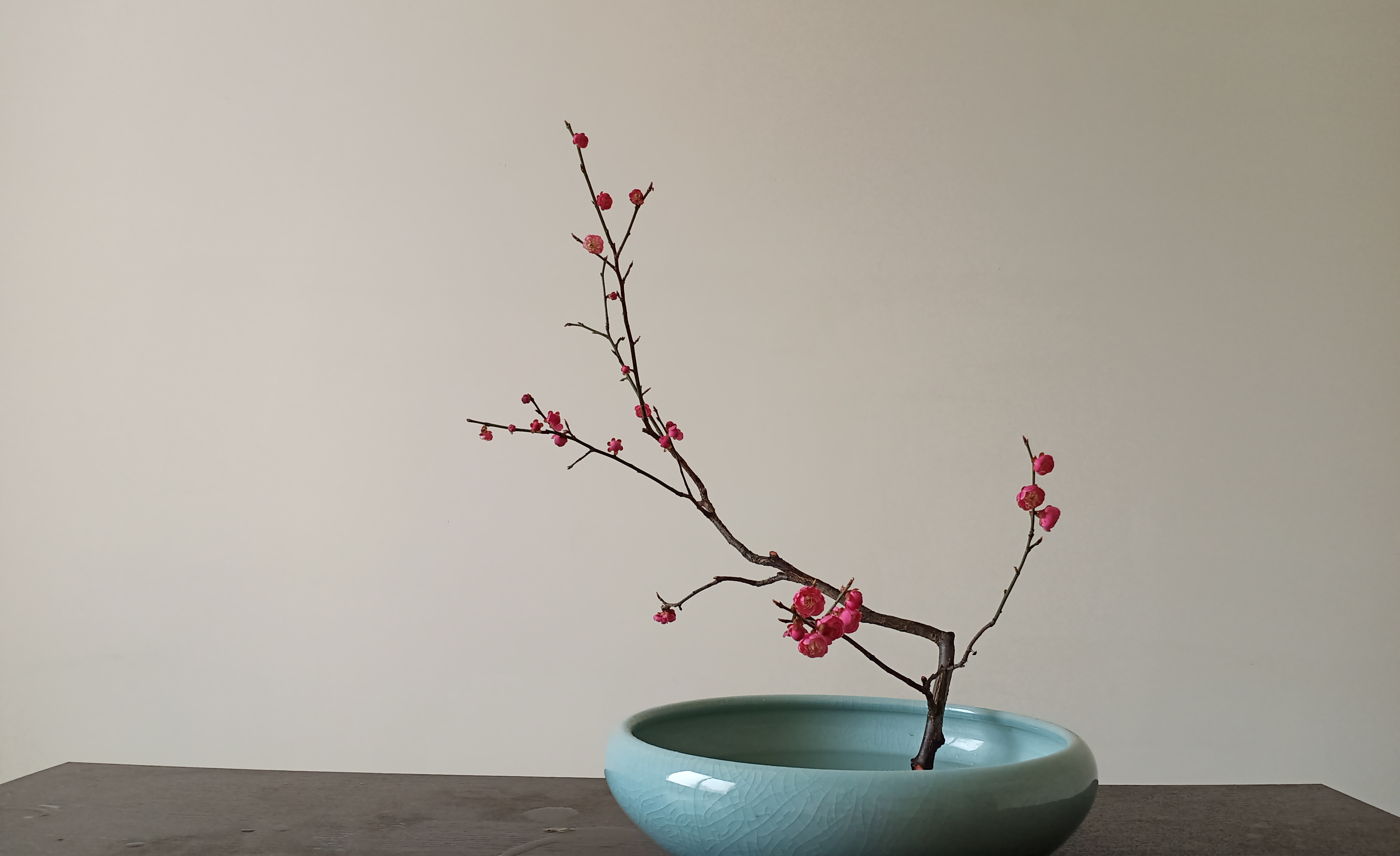 何时仗尔看南雪我与梅花两白头