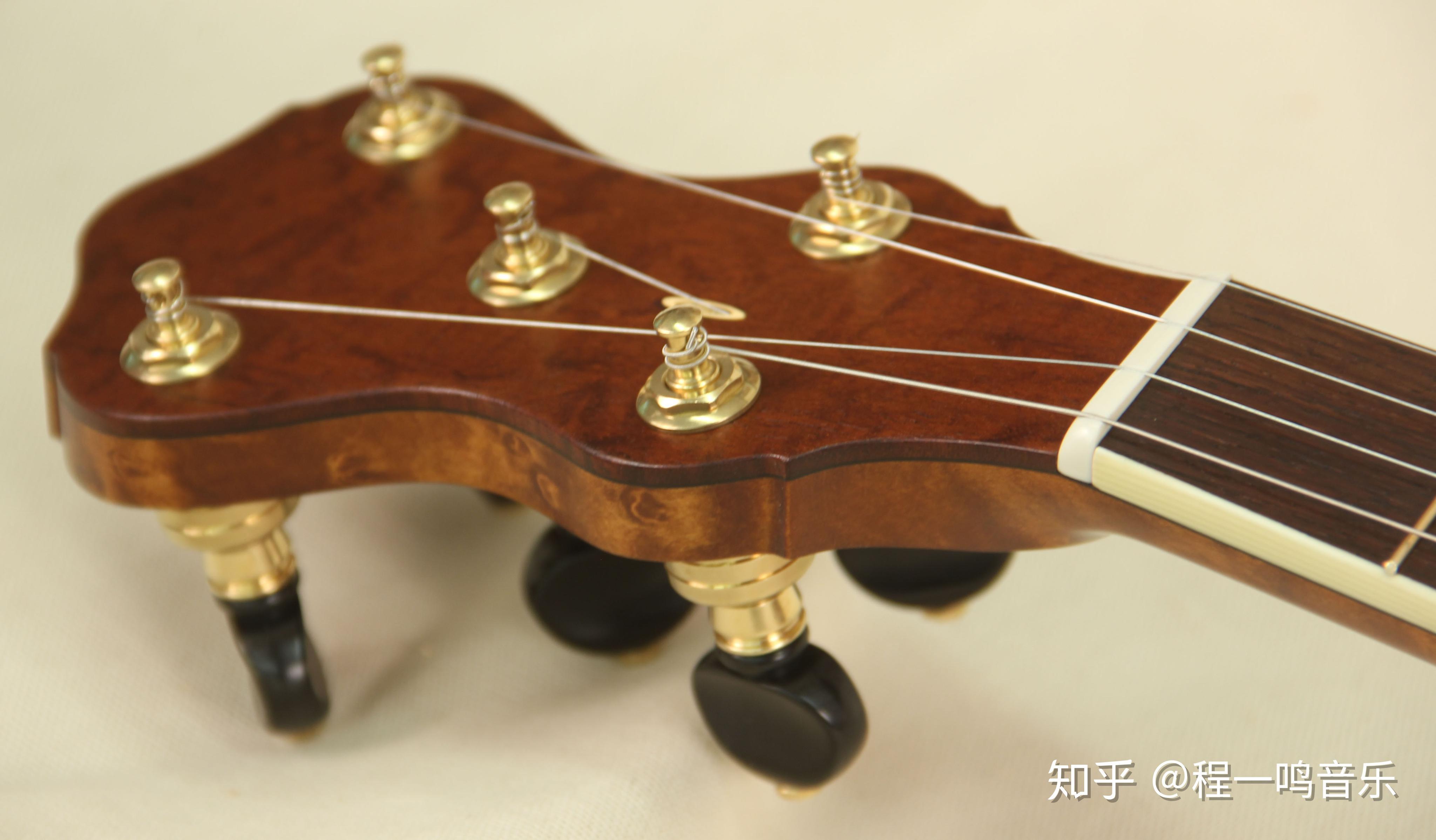 西方传统弹拨乐器班卓琴简介