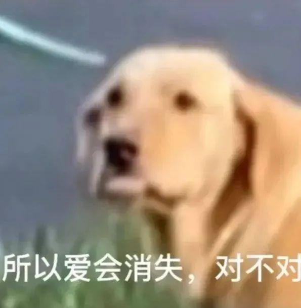 120张万能的表情包推荐-万能表情图片大全