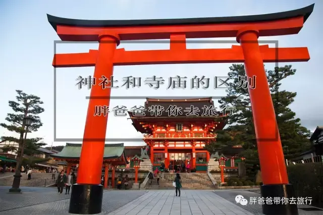 揭秘日本文化 神社和寺庙有什么区别 知乎