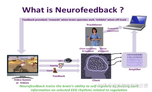 神经反馈概述 | 必须了解的基础知识点 - 知乎