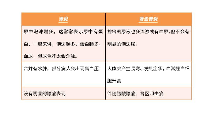肾炎and肾盂肾炎，别傻傻分不清楚！ - 知乎