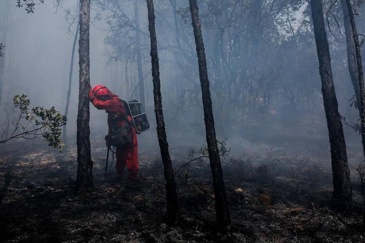 凉山火灾:森林消防员之死