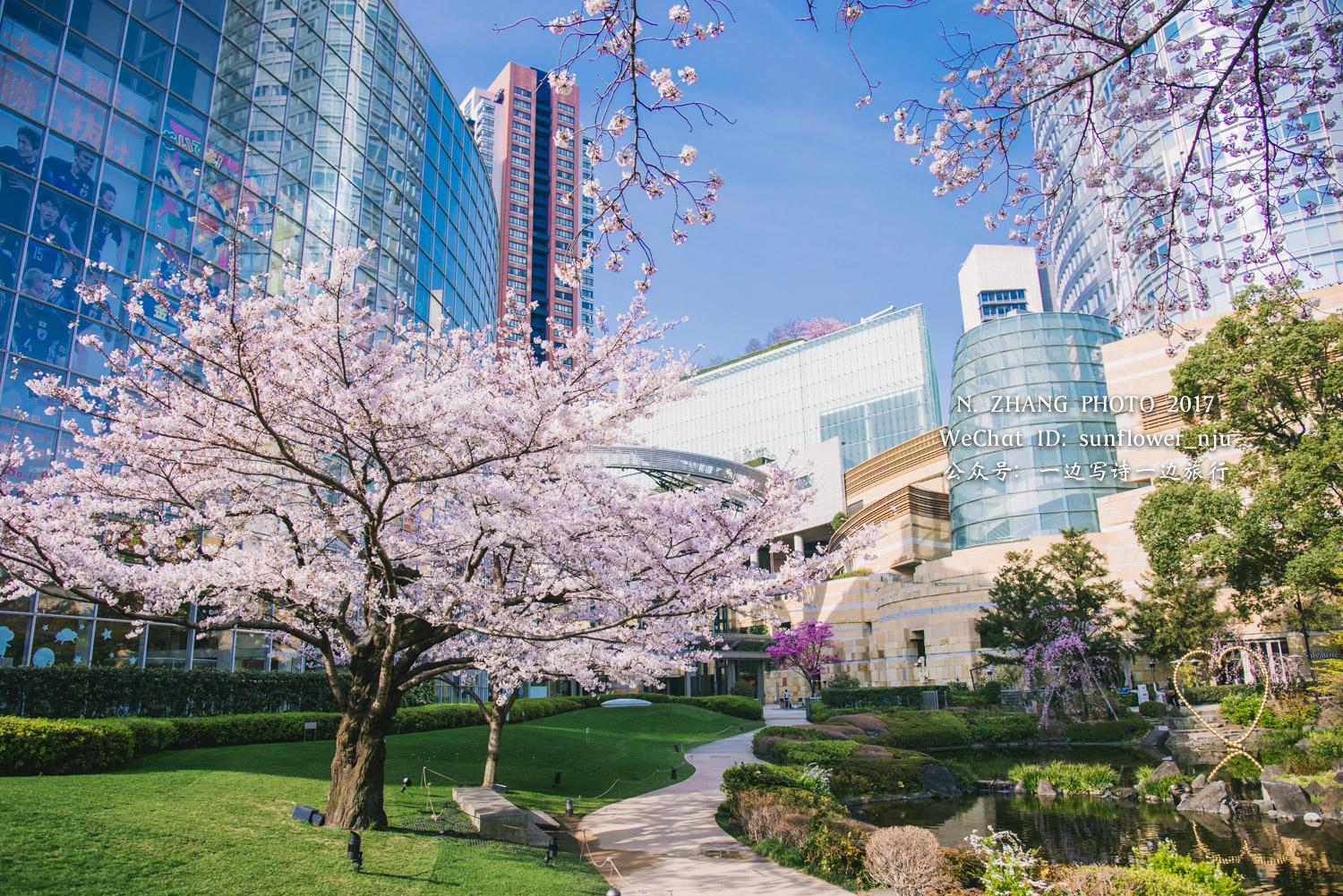 花见2017六本木毛利庭园