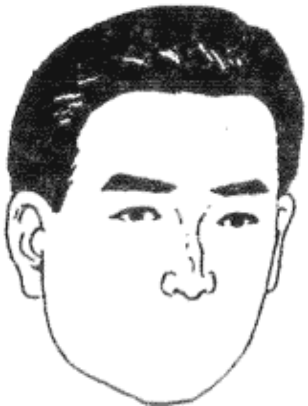 面相入门--五官细谈之“鼻” - 知乎