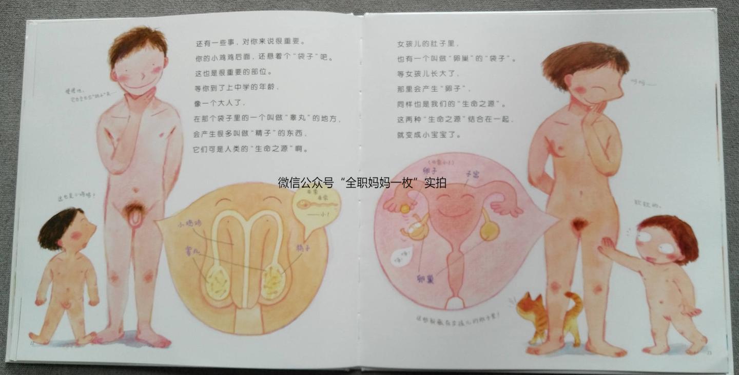 小鸡鸡 绘本分享-小鸡鸡的故事- 知乎