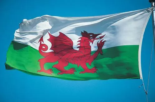 hp官设pottermore魔法世界之龙瑞典短鼻龙普通威尔士绿龙