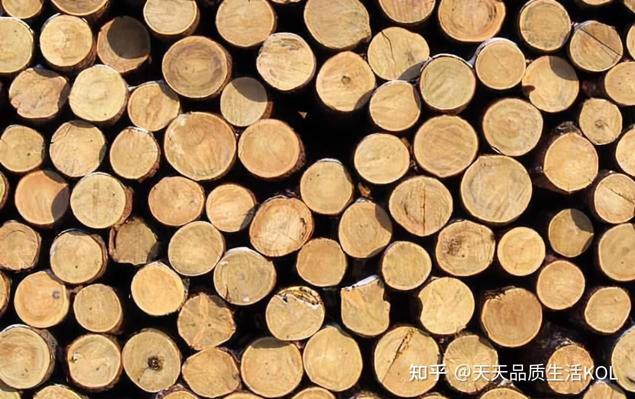 黑胡桃木、榉木、樱桃木...终于可以分清楚不同木质了 - 知乎