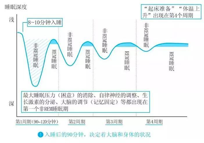 微科普|人为什么会做梦? - 知乎