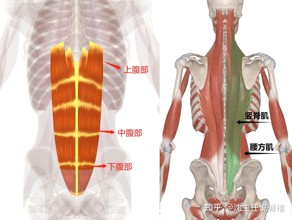 核心示意图图片