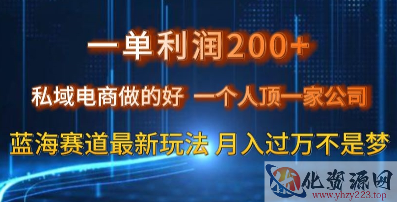 一单利润200私域电商做的好，一个人顶一家公司蓝海赛道最新玩法【揭秘】