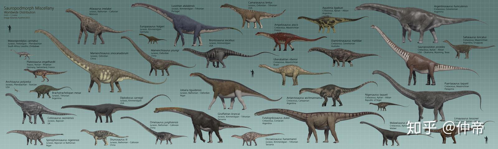 求恐龙大小比例图? - 知乎