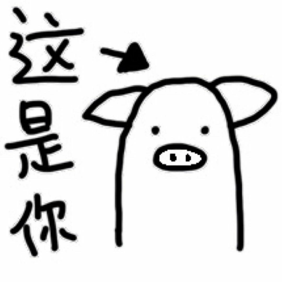 2019-猪我发财|平面|海报|must1313 - 原创作品 - 站酷 (ZCOOL)