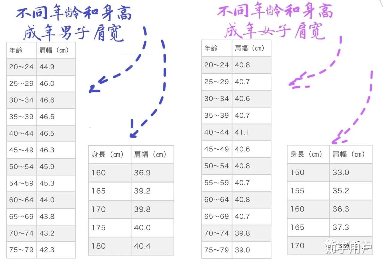 女孩子身高168肩宽36算宽吗