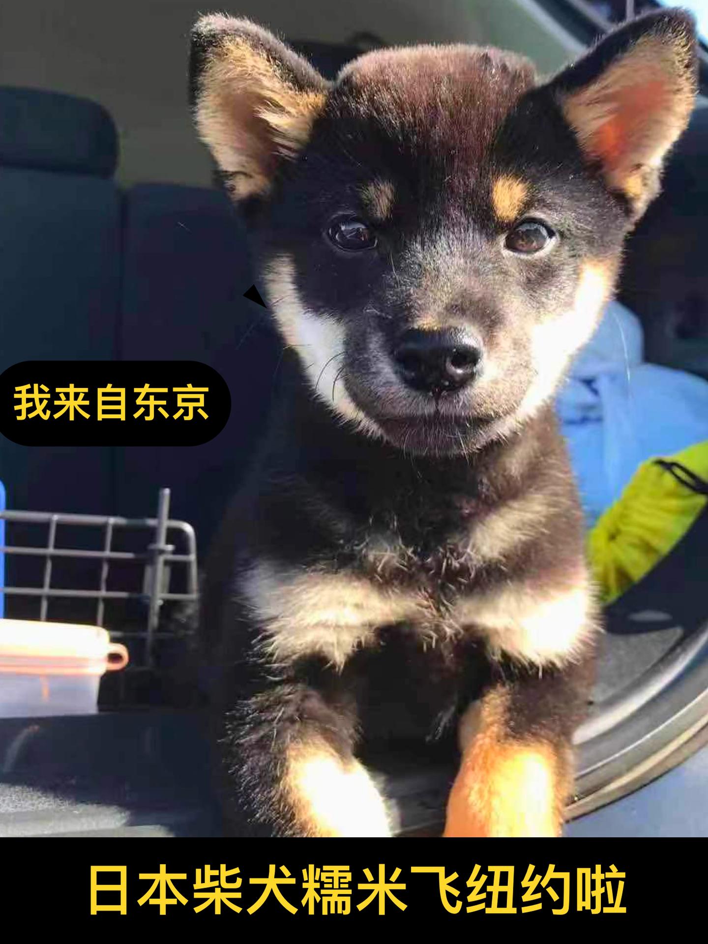 v2-a17bfbdc4d8e8af61d90971e94d70c64_1440w.jpg?source=172ae18b