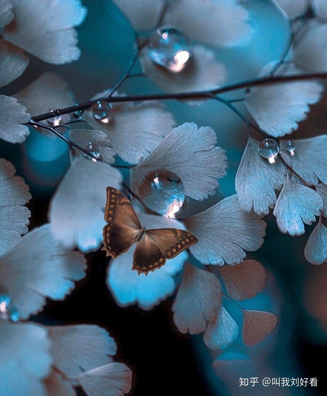 阿里巴巴推荐Python视频,Python入门视频,我给这个Python库打101分! - 知乎