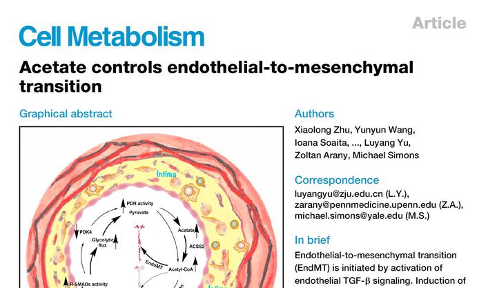 Cell Metabolism | 细胞代谢的分子机制如何做？代谢顶刊CM的这篇文章也许能给你一些灵感 - 知乎