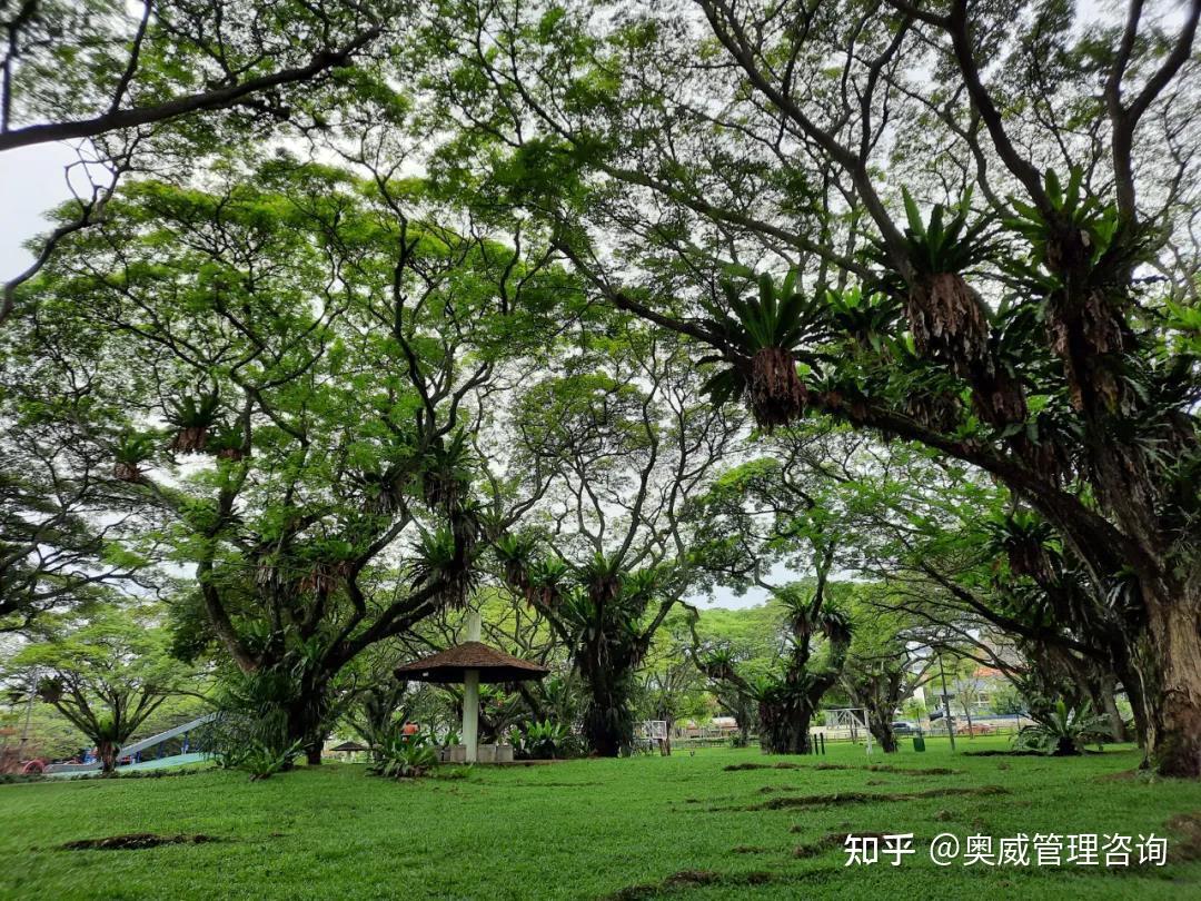 新加坡工作移民_移民新加坡雇主担保费用_自雇新加坡移民