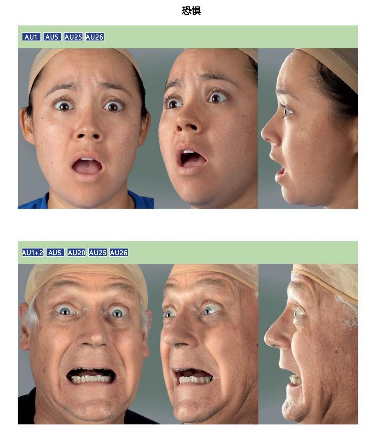 各种表情绘画方法:喜怒哀乐 - 知乎