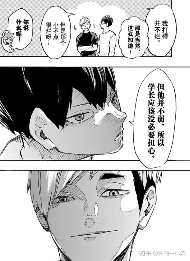 牛岛若利为什么讨厌日向翔阳
