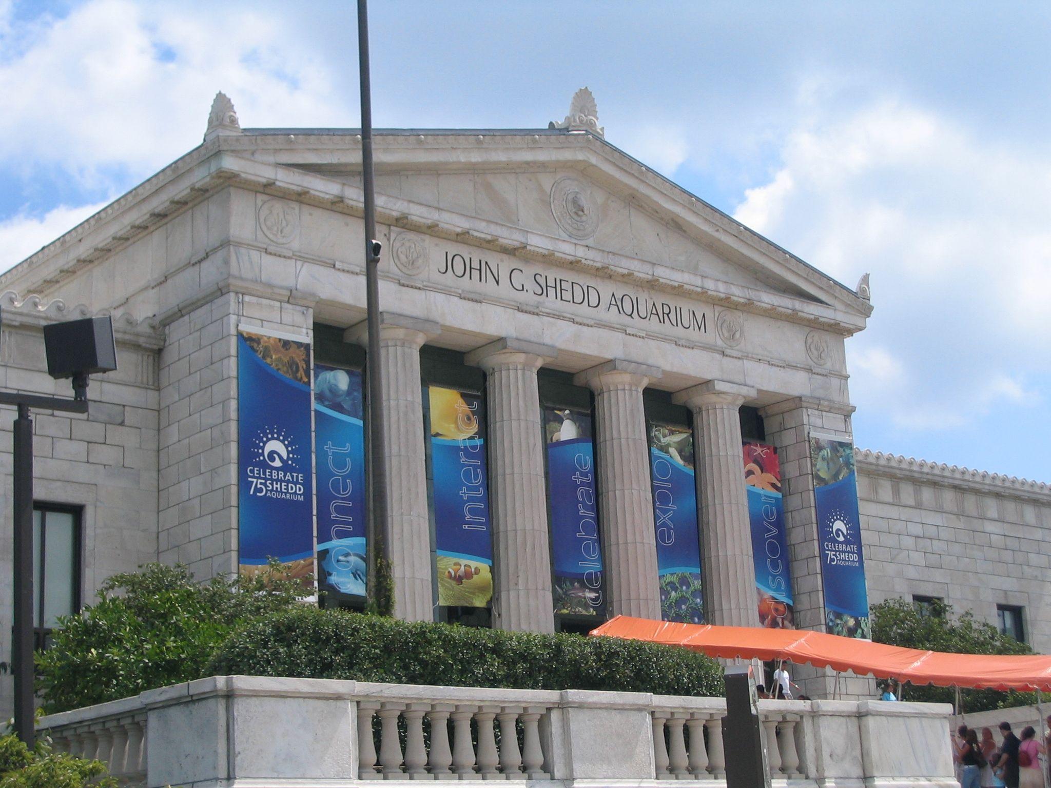 芝加哥景点攻略：谢德水族馆(Shedd Aquarium) - 知乎