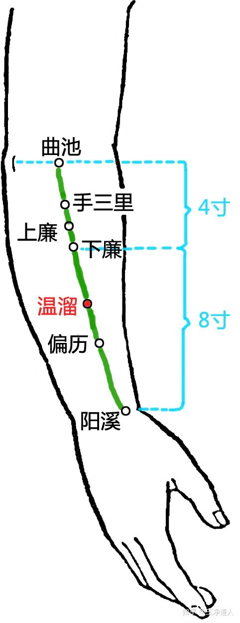 温溜的准确位置图图解图片