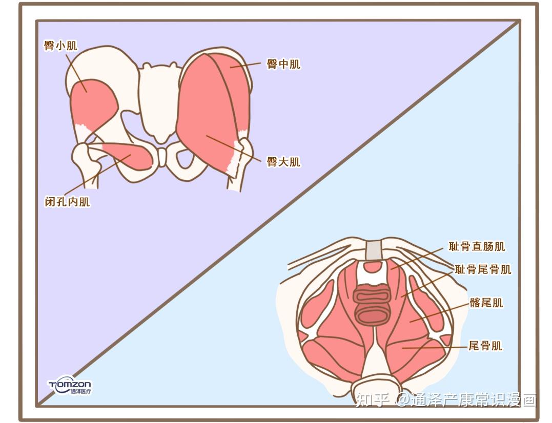 宝妈产后修复都做了哪些调理?