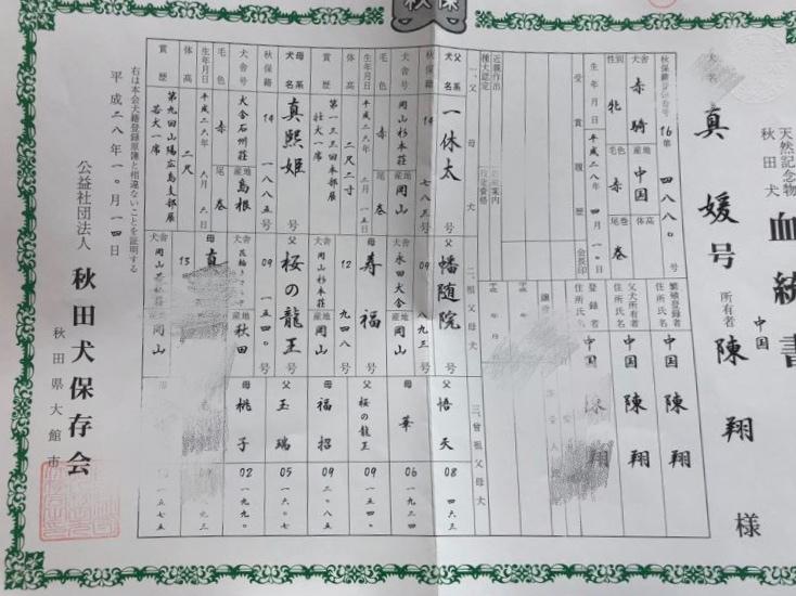 关于秋田犬的日本秋保血统证书你需要知道这些事